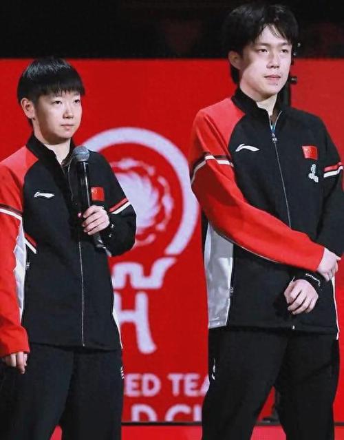 王楚钦三大赛前三名是谁缩略图