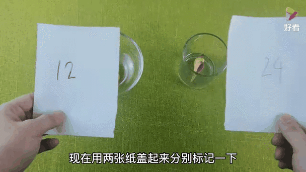 白醋泡海螺壳会变透明吗截图