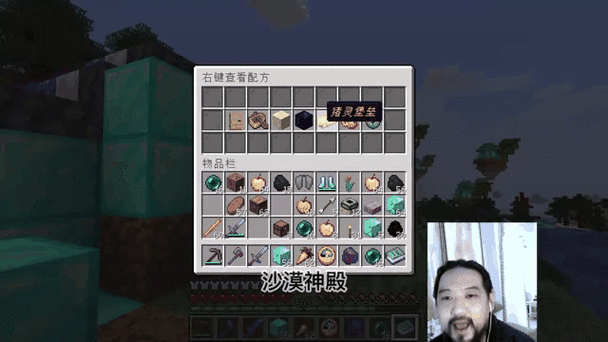 我的世界吸血之疾要等多久