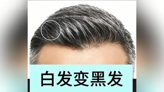 天天p图白头发怎么p黑