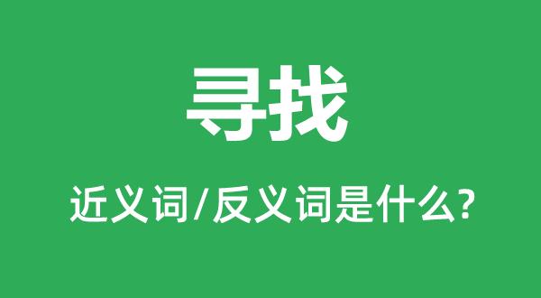 寻找和寻觅的意思