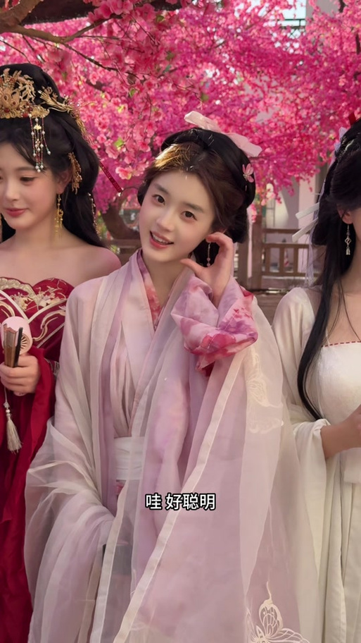 探花歌