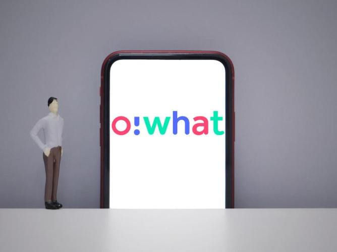owhat截图