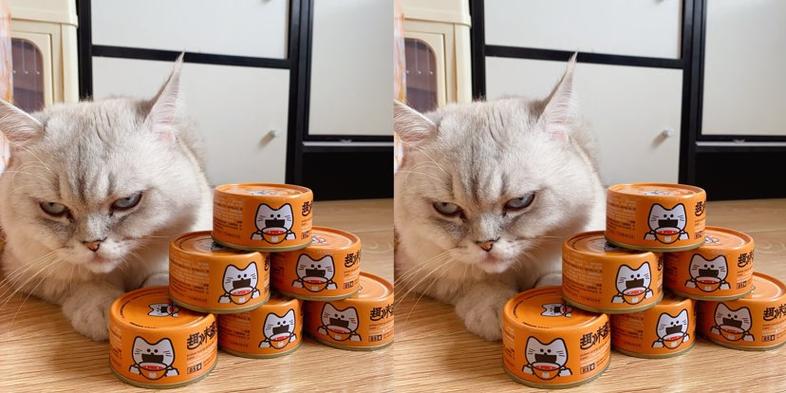 如何修改猫咪罐头经验值