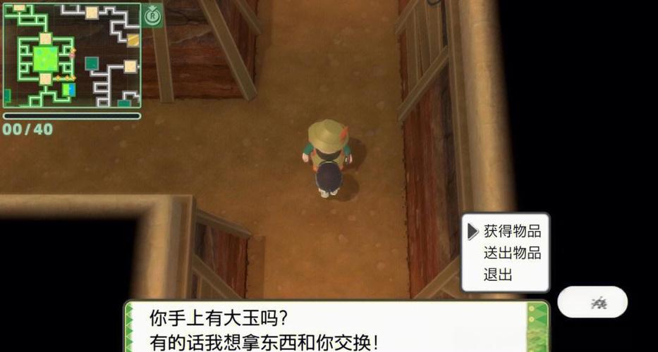 口袋妖怪珍珠内置金手指版游戏截图