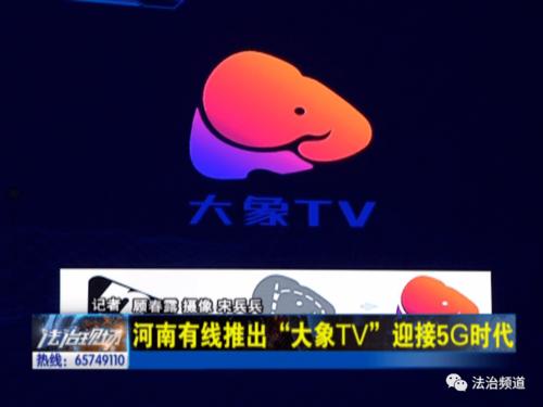 河南卫视大象频道