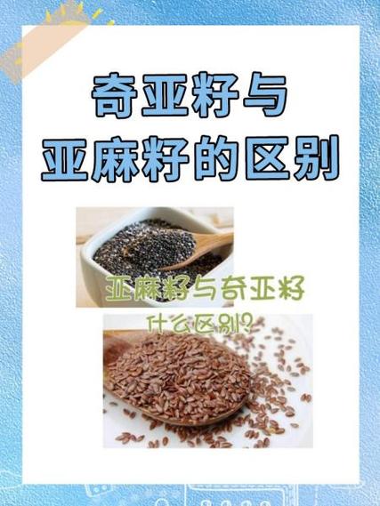 奇亚籽的功效和作用