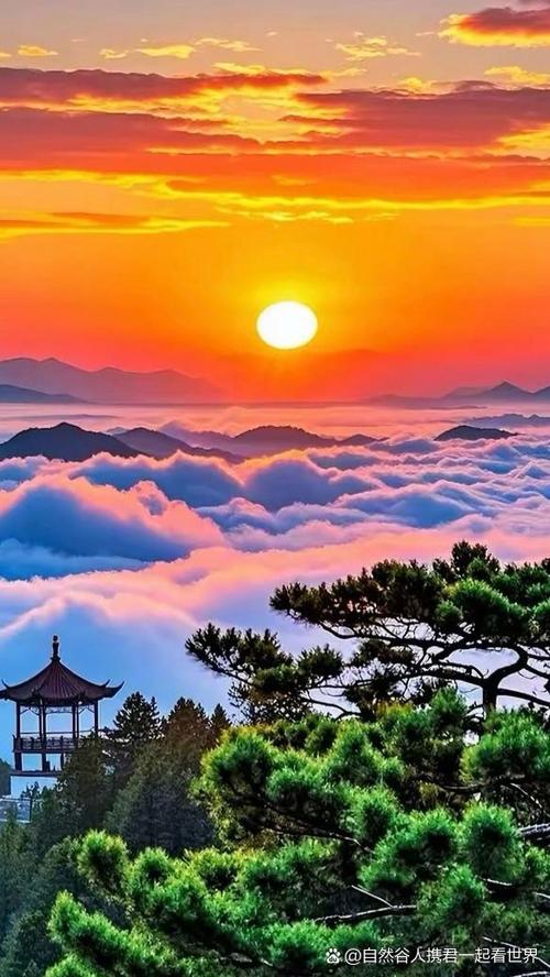 vivo照亮你的美广告词截图