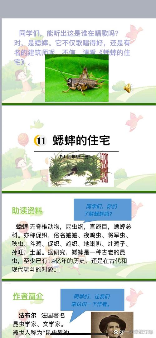 赤兔蛐蛐整理截图