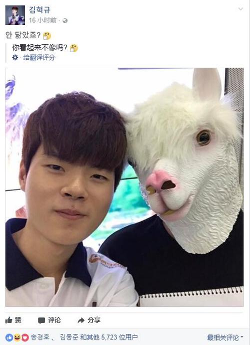 自称羊驼先生是什么意思截图