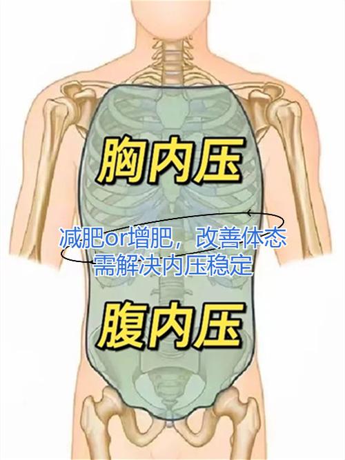 增肥最快最有效的方法