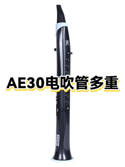 罗兰ae30电吹管使用说明书截图