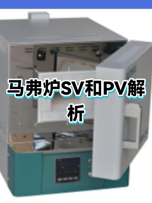 pv和SV是什么的缩写