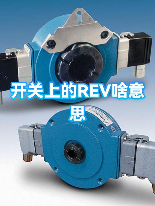 rev代表什么截图