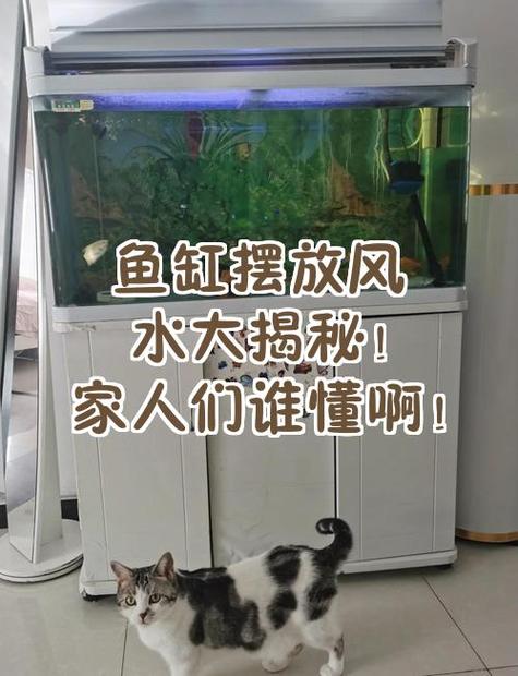 鱼缸大小有讲究吗