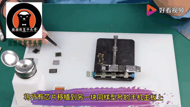 手机进水主板烧了数据能恢复吗游戏截图