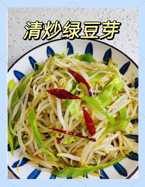绿豆芽菜的做法大全家常
