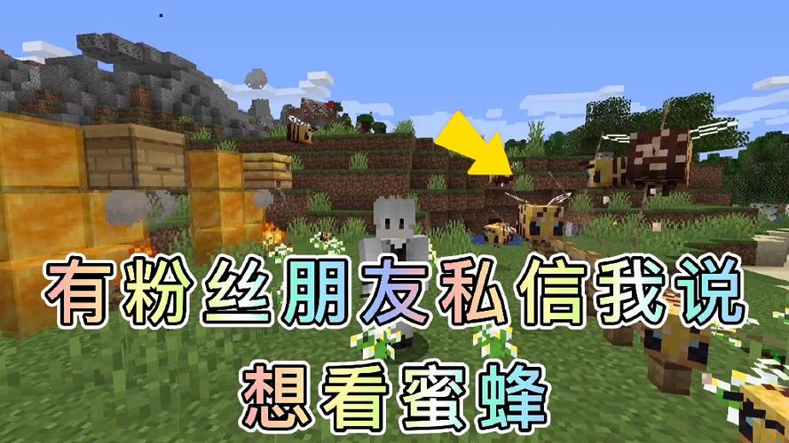 我的世界蜜蜂版本游戏介绍