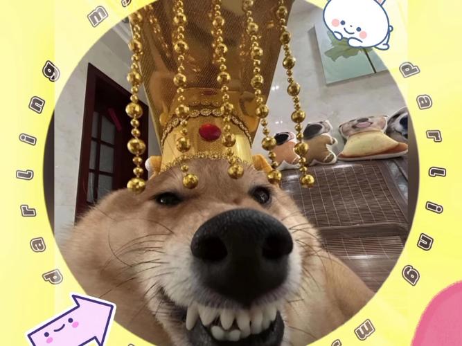 朕不想当这狗皇帝(清穿)