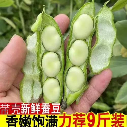 秘豆怎么交易图标