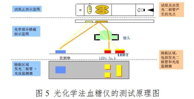 血糖仪的原理