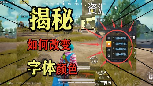 和平精英改字体颜色