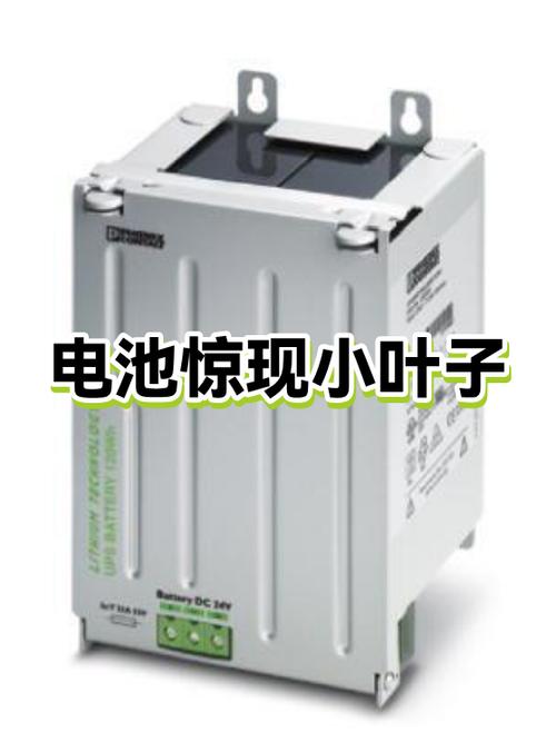 电池后面有个小叶子截图