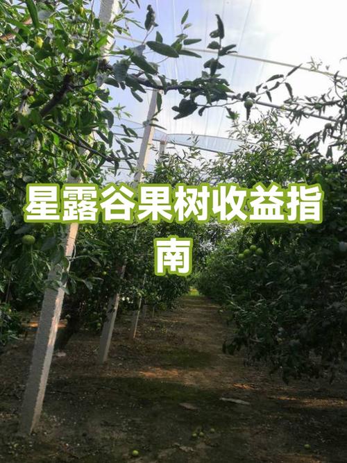 种果树多久才能赚回本钱