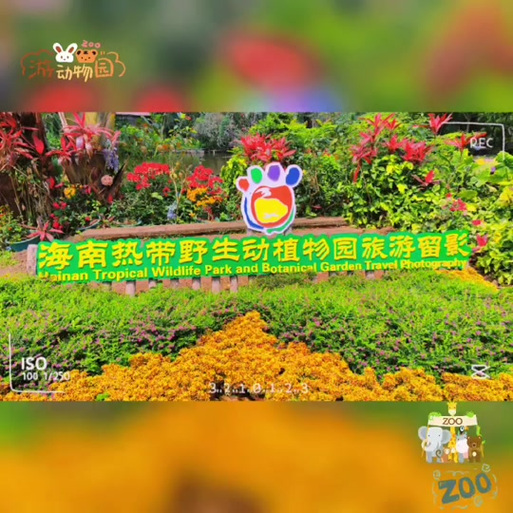 野生动物园打卡文案简短截图