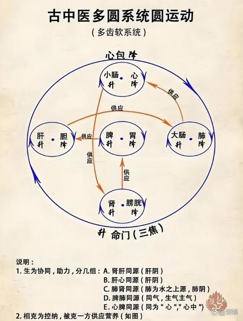 圆运动的古中医学截图
