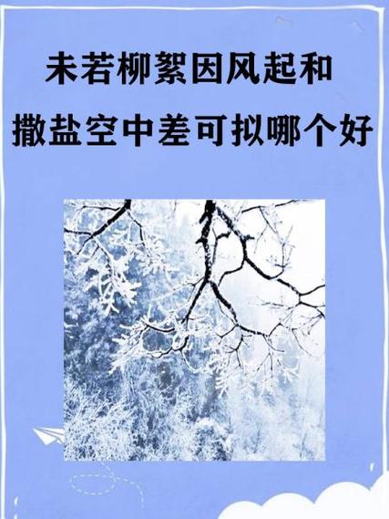 风兮兮是什么意思