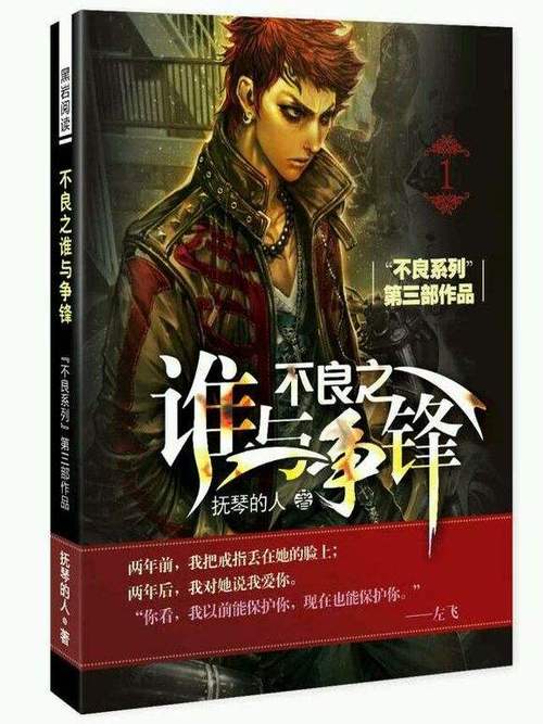 不良之谁与争锋无错章版