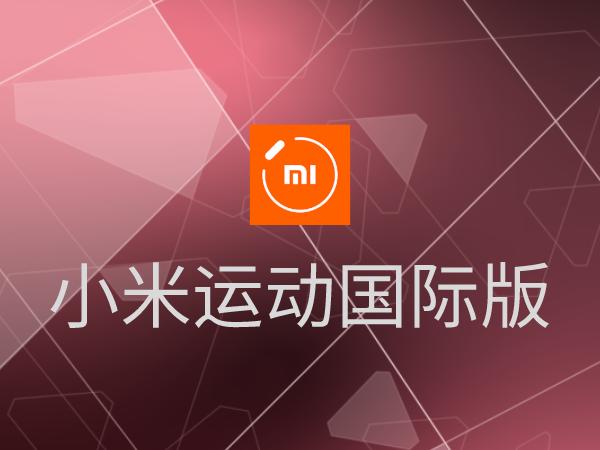 小米运动谷歌版