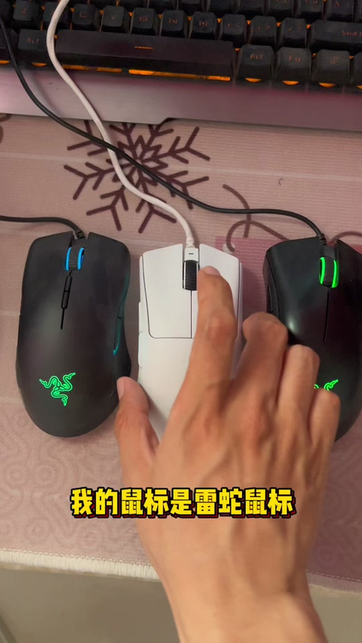 雷蛇蝰蛇鼠标宏设置游戏截图
