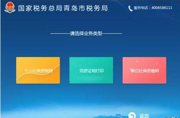 青岛国税税通网上申报游戏截图