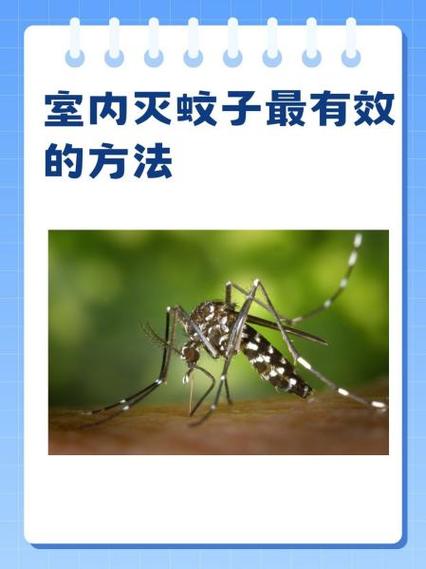 如何消灭蚊子