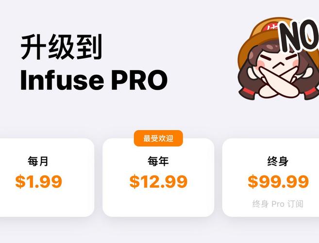 用国区infuse订阅的注意事项