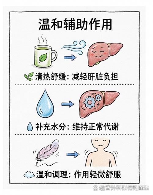 绿豆辅助器下载