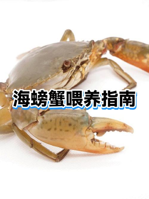 海螃蟹冷冻还是冷藏保存