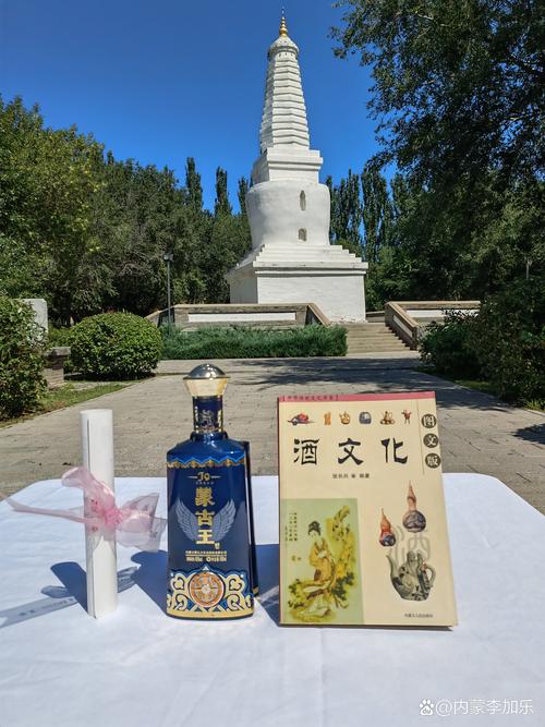 东寻问酒百度云TXT下载全集
