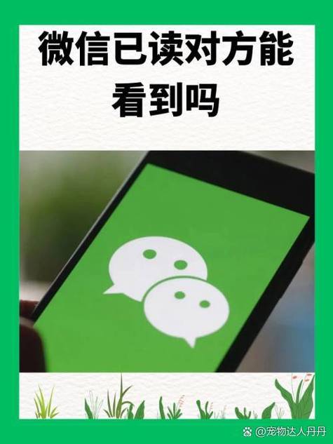 如何知道对方有没有看你的信息截图