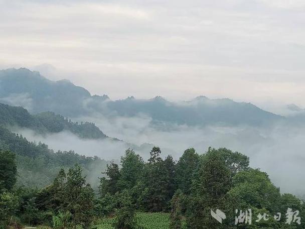 游仰天碗大山偶遇有雾可用香雾青霏