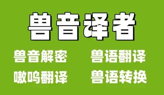语音转字幕的软件截图