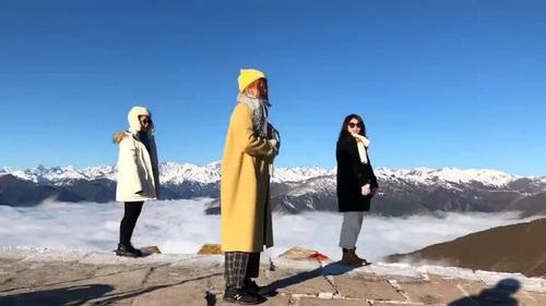 旅行baby注册收费