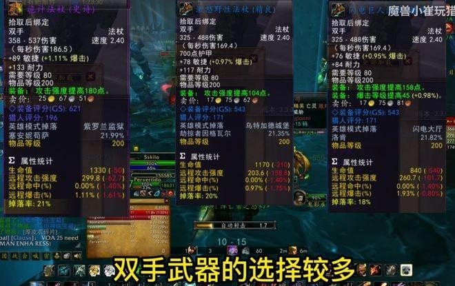 猎人80级生存猎人装备选择缩略图