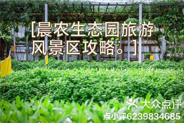 晨农集团领导层