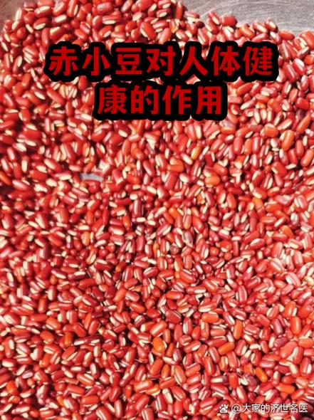 赤小豆功能主治图标