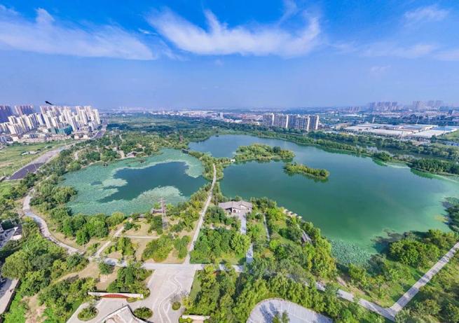 泉山区桃花源湿地公园缩略图