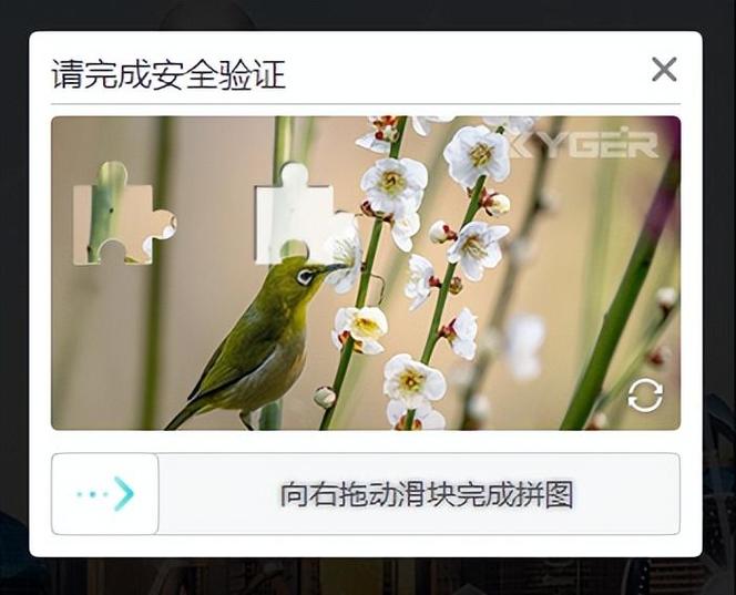防止短信验证码被刷