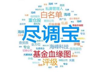 dd是尽调的意思吗缩略图